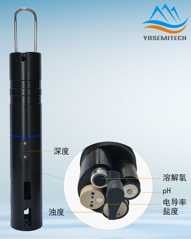多参数传感器