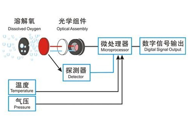 溶解氧传感器原理
